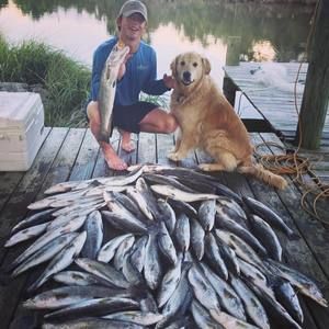 Meet your Posher, Wil